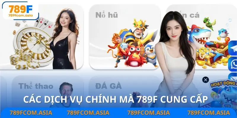Các chuyên mục mà nhà cái đang phát triển