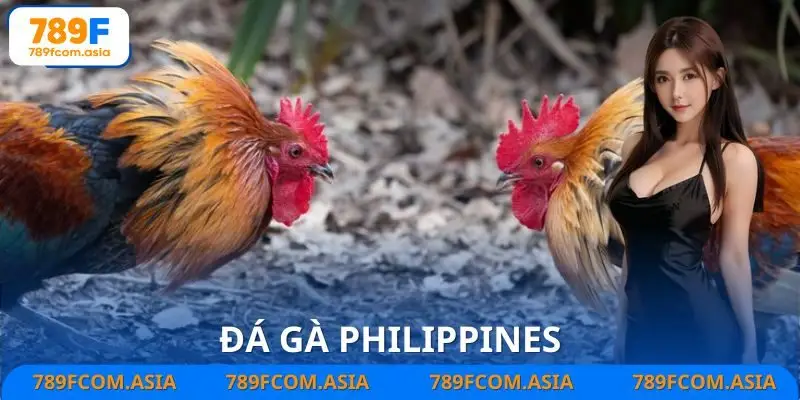 Đá Gà Philippines